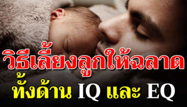 13 เคล็ดลับง่าย ๆ เลี้ยงลูกให้ฉลาดทั้งด้าน IQ และ EQ