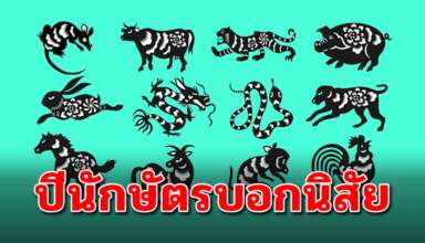 12 ปีเกิด สามารถบอกถึงนิสัยคุณได้แม่นมากๆ