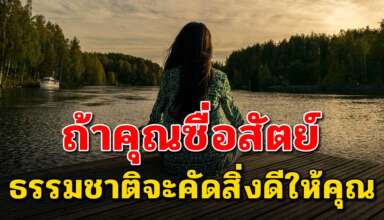 เรื่องจริงสอนใจ หากคุณเป็นคนซื่อสัตย์ ธรรมชาติจะคัดสรรค์สิ่งดีๆมาให้คุณ