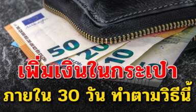 เคล็ดลับการเพิ่มเงินในกระเป๋า ภายใน 30 วัน