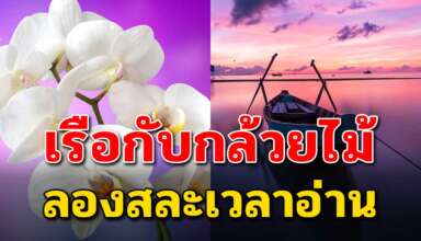 เรื่องสอนใจ เรือเปล่ากับกล้วยไม้