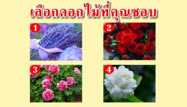 ดอกไม้ที่คุณชอบสามารถบอกถึงนิสัยของคุณได้