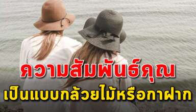 ความสัมพันธ์ของคุณ เป็นแบบกล้วยไม้หรือแบบกาฝาก