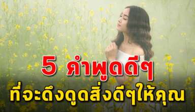 คำพูด 5 คำ ที่ทำให้ชีวิตของคุณนั้นดีขึ้น