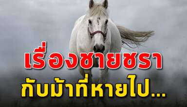 (เรื่องสอนใจ) ชายชรากับม้าที่หายไป ให้รู้คุณค่าในชีวิต