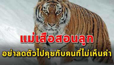 4 คำสอน อย่าลดตัวไปคุยกับคนที่ไม่เห็นค่าคุณ