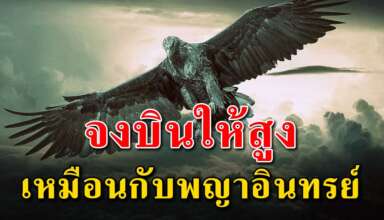 (เรื่องสอนใจ) จงบินให้สูงเหมือนพญาอินทรย์